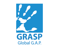 grasp